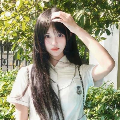 疯狂的兔子